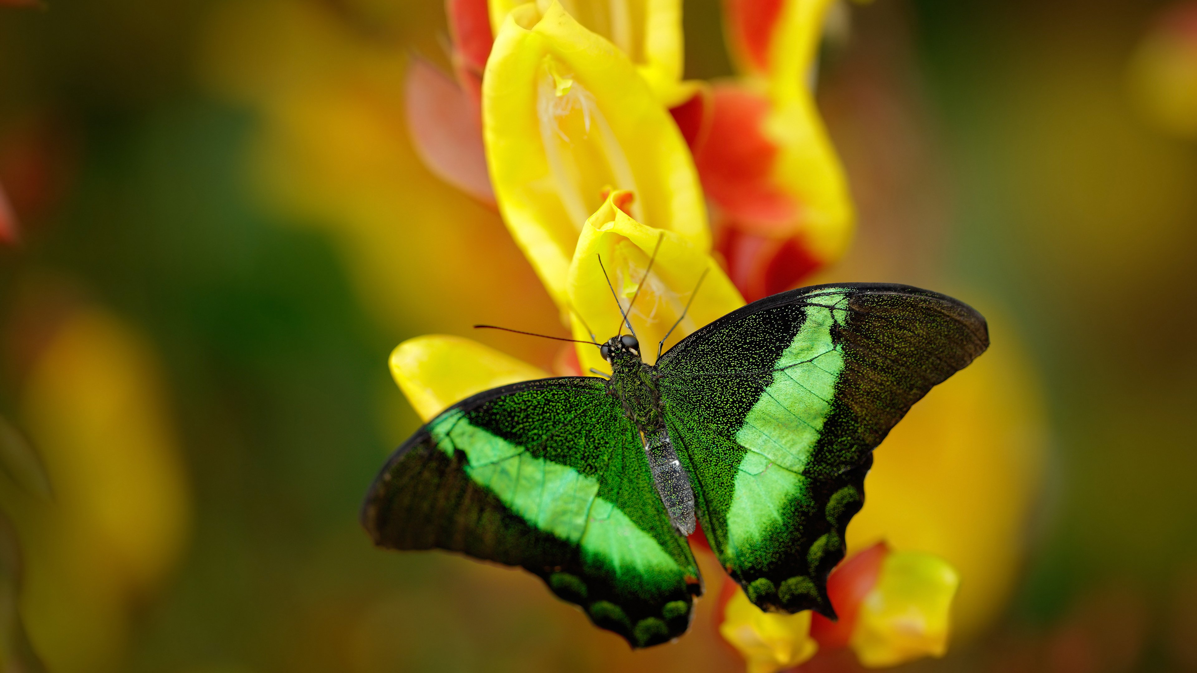 开云体育网站入口-2024全国围棋协会联谊赛在贵阳圆满落幕，2021全国围棋大赛